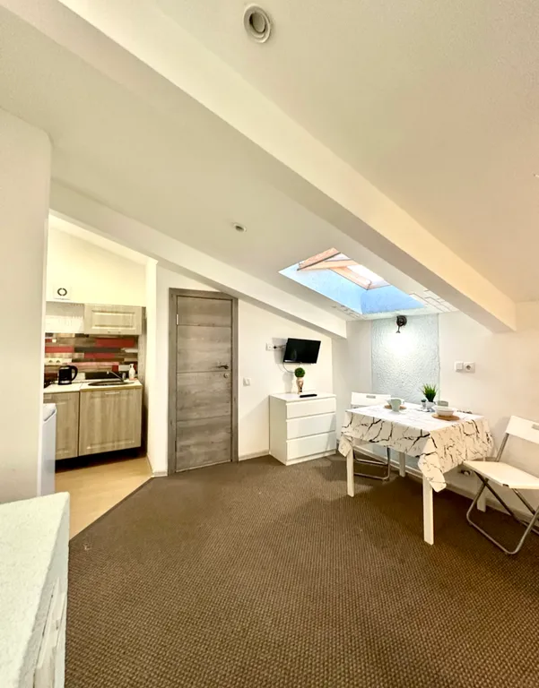 Уютная студия Мансард с окном в потолок