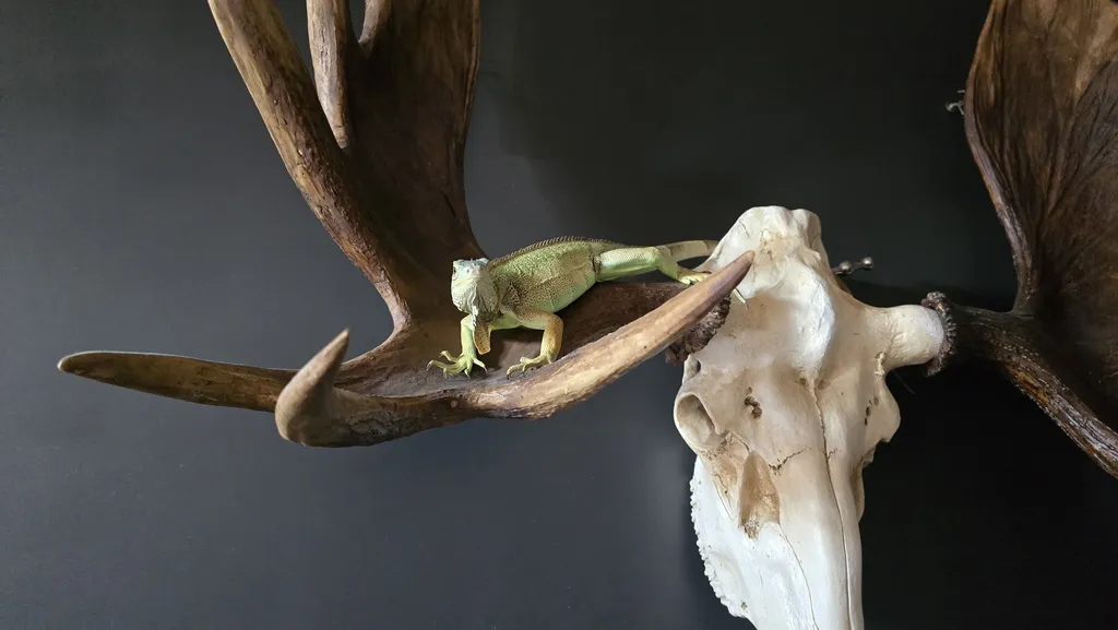 Уютная квартира в центре горнолыжного курорта