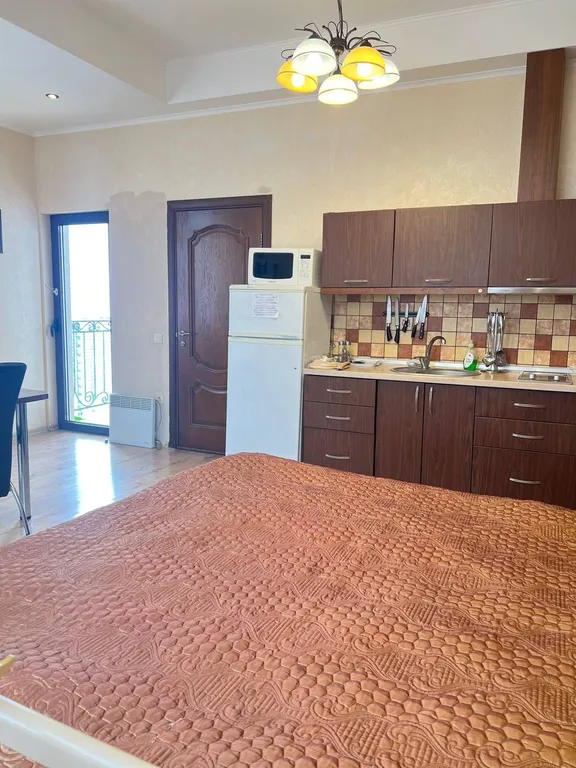 Студия с видом на горы