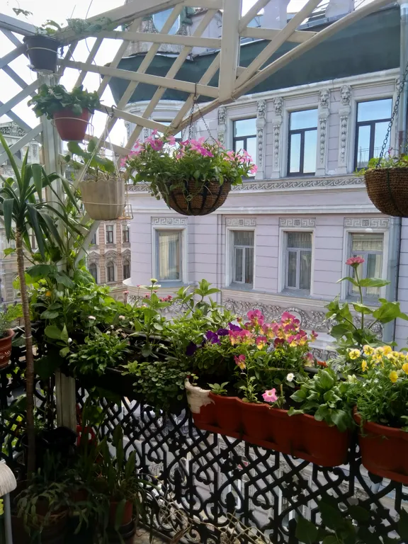 Квартира Комната рядом с московским вокзалом — Санкт-Петербург