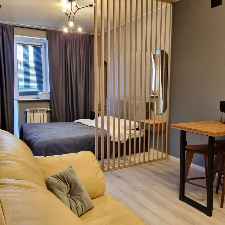 Квартира студия с видом на парк