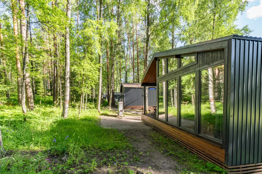 Дом с видом на лес