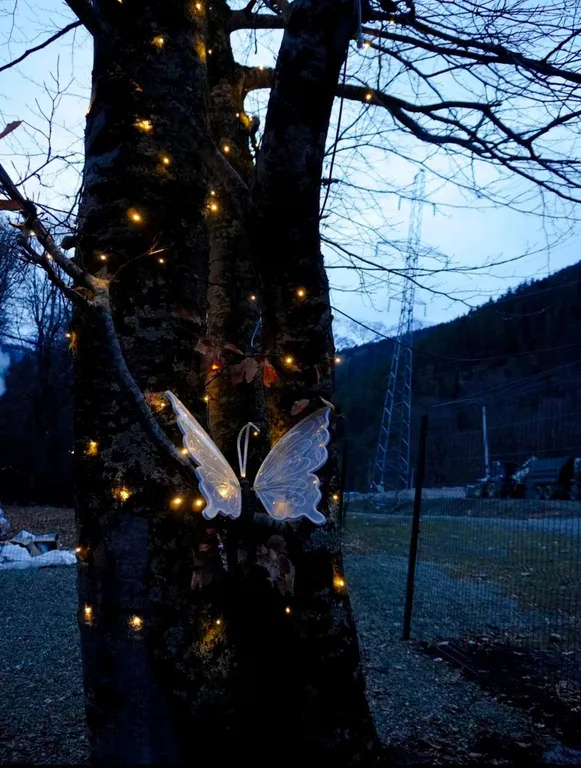 Квартира Апартаменты в доме на 1 этаже с отдельным входом — Архыз