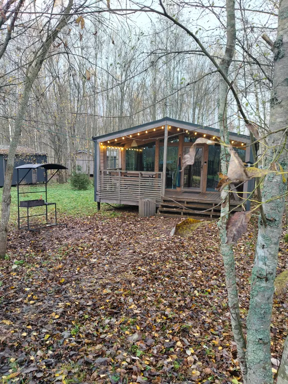 Дом с березами