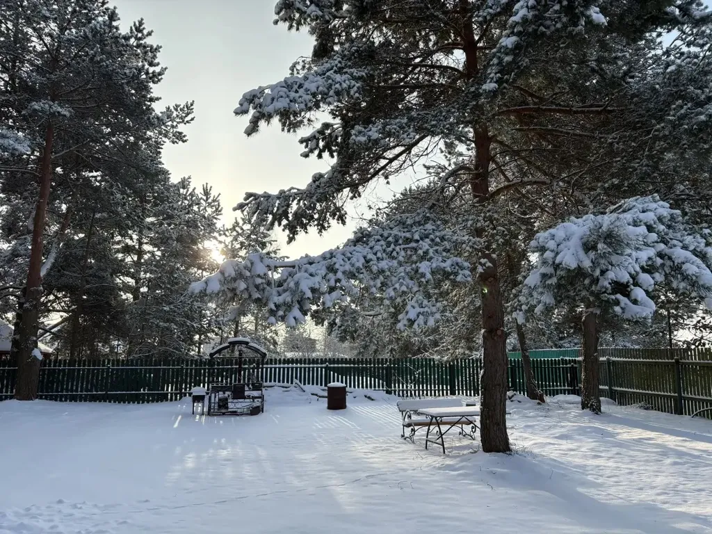 Усадьба Хоромы в соснах