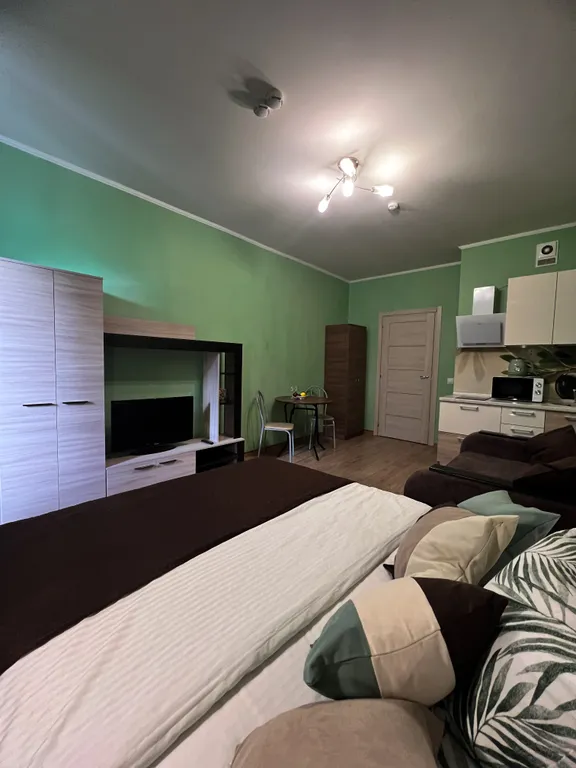 Вместительная студия в мурино