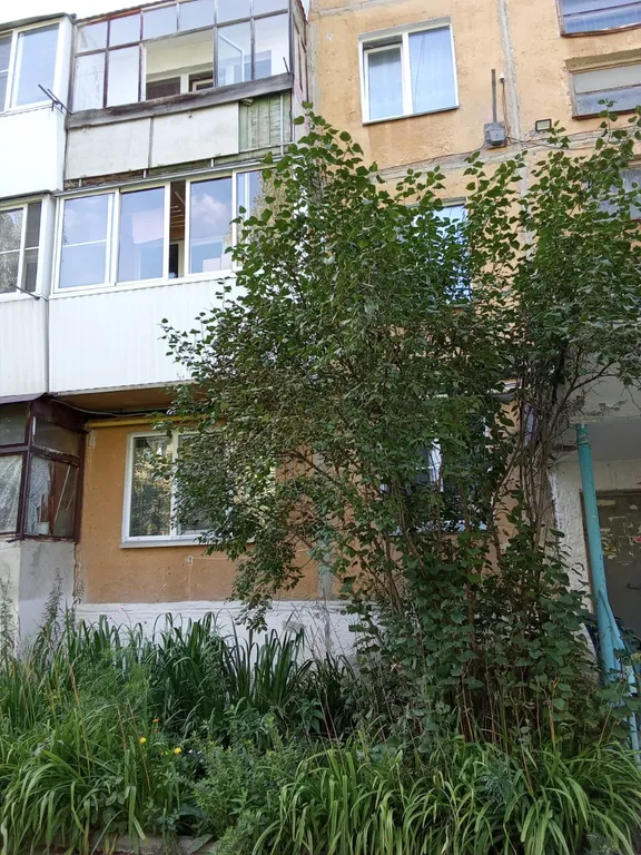 Уютный стандарт в сердце Златоуста