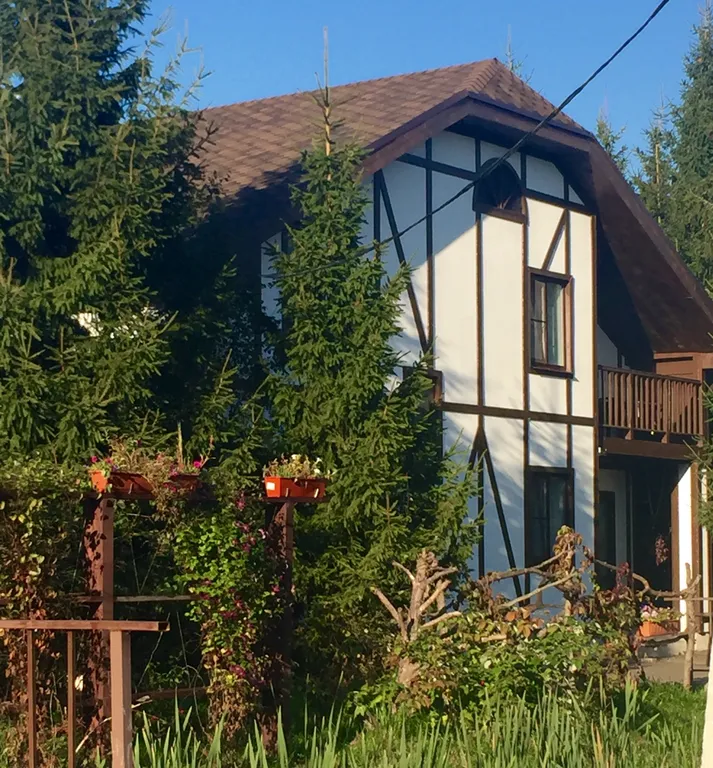 Шале в лесу