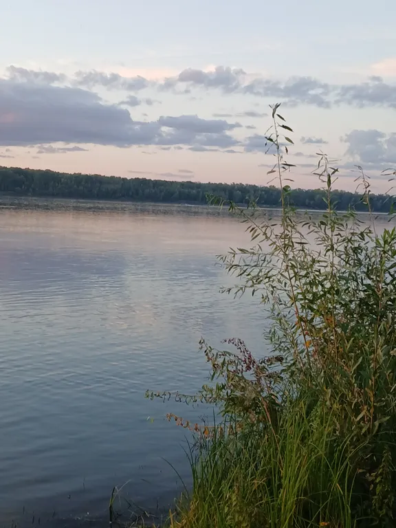 Домик у реки