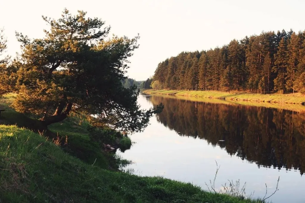 Домик у реки шале у Медведицы