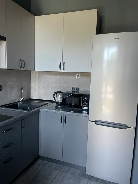 Квартира 1-комнатная Квартира — Сириус