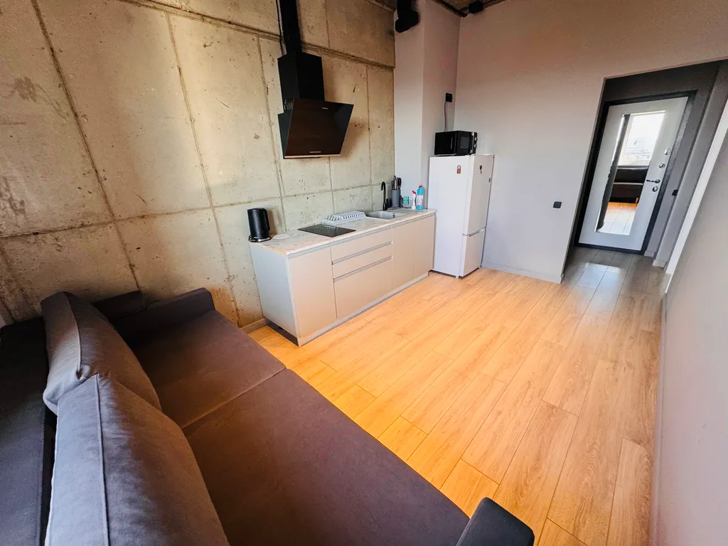 Лофт с видом на телебашню