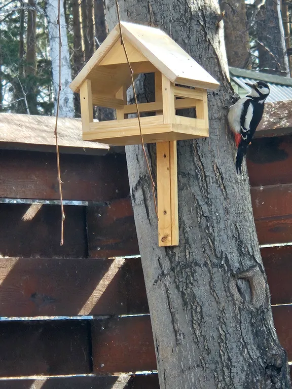 Дом на берегу озера