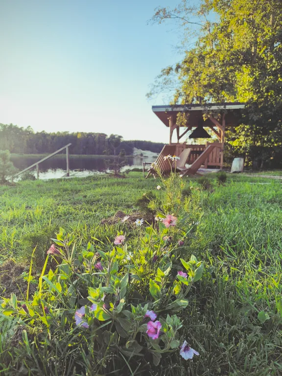 Незабываемый отдых в доме на берегу реки