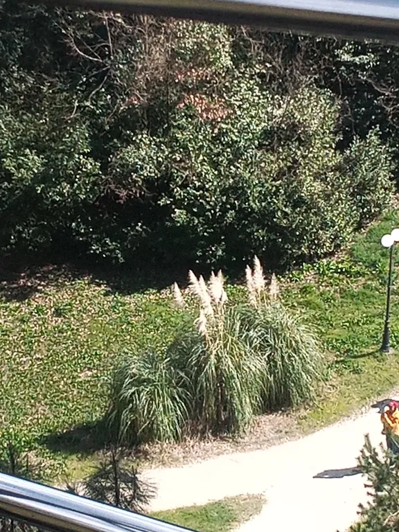 Квартира Квартира Добро пожаловать в Сириус — Сириус