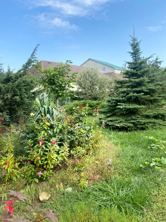 С бассейном рядом с морем