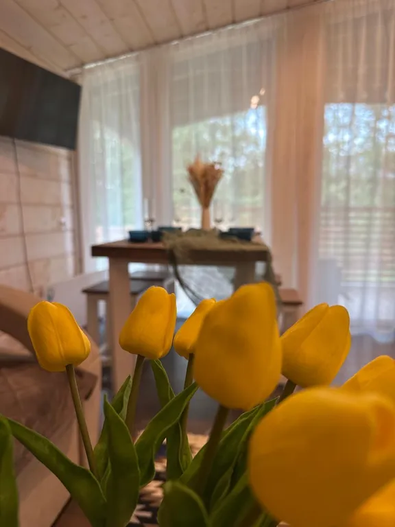 Уютный домик с чаном