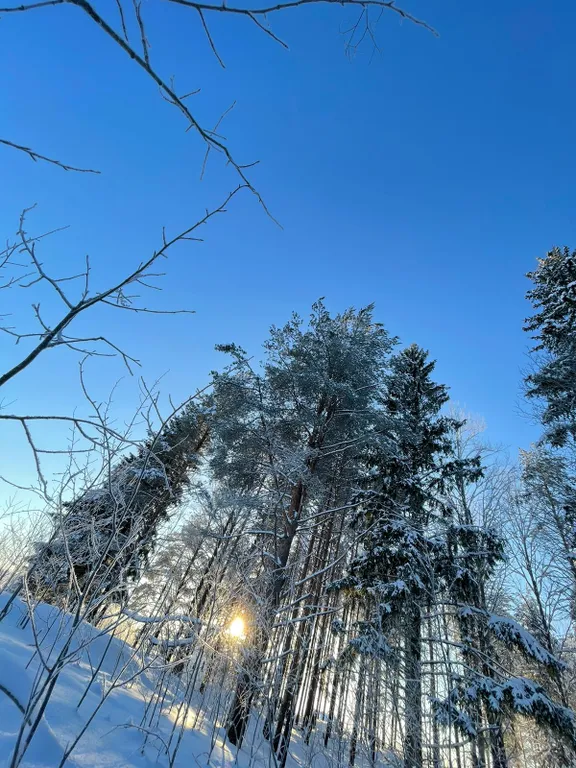 Коттедж Уютный дом у озера — Волосово