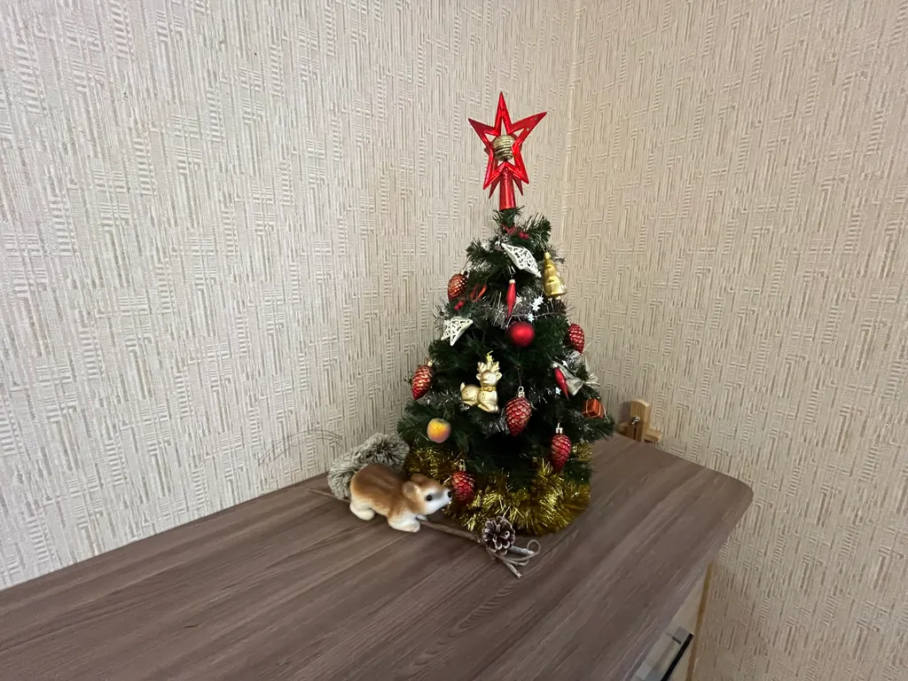 Квартира Уютная 3-х комнатная квартира вблизи западного пляжа — Зеленоградск