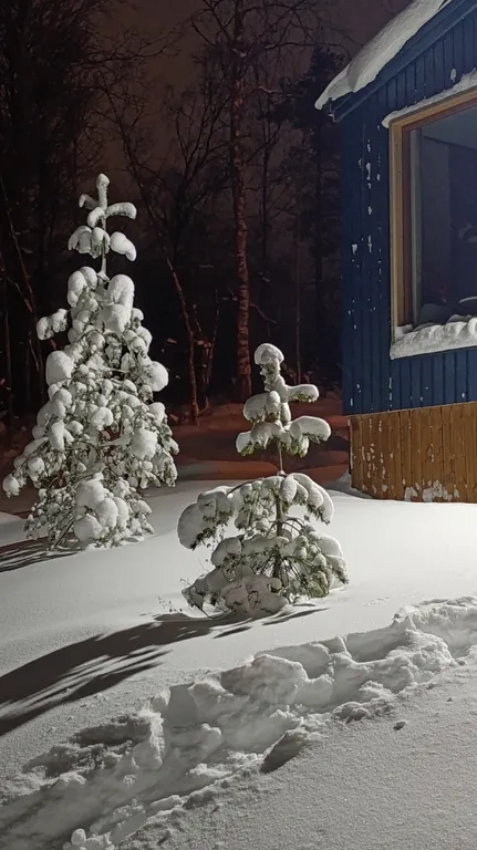 Гостевой дом Kielo