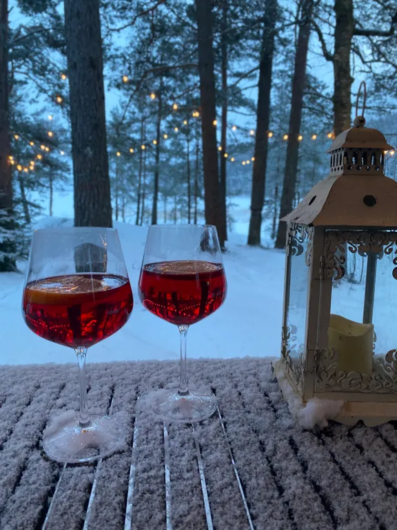 Стильный дом на берегу Ладожского озера с панорамным видом