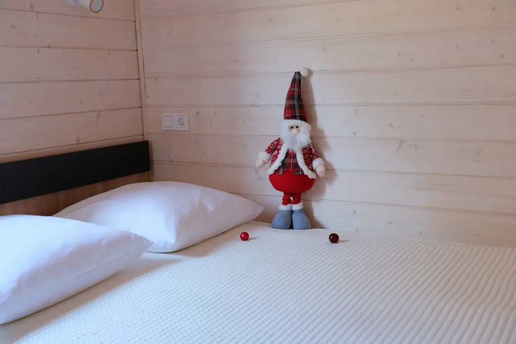 Апарт Афрейм в Чемальской долине