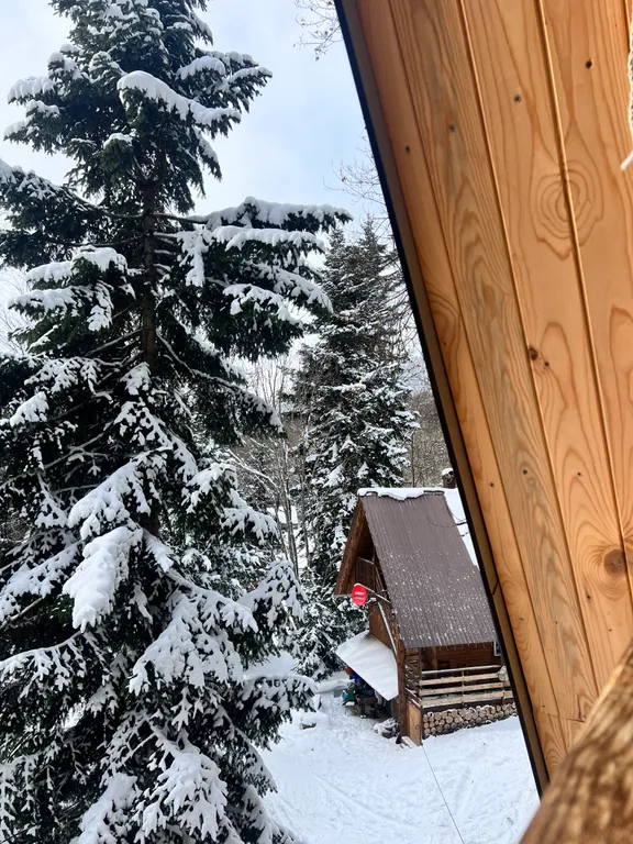 Горы, лес и уют — ваш отдых в Архызе начинается здесь