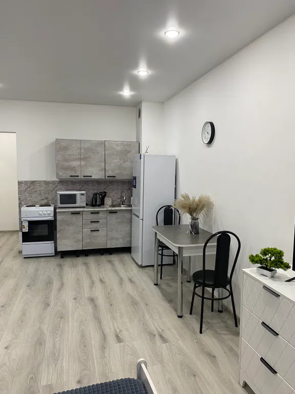 Красивая студия в центре города на 3 места, рядом с Площадью Советов.