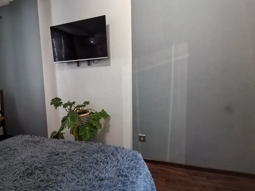 1-комнатная квартира Цезарь