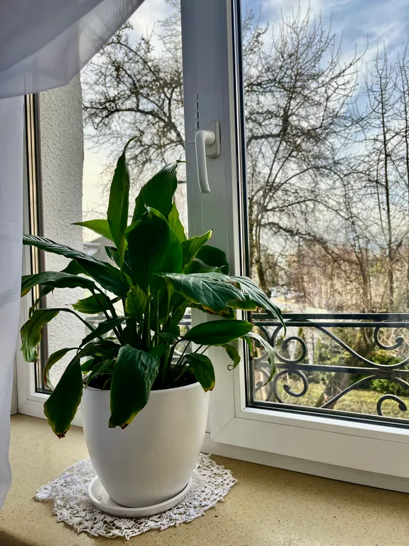 Двухкомнатная квартира в центре с закрытой парковкой