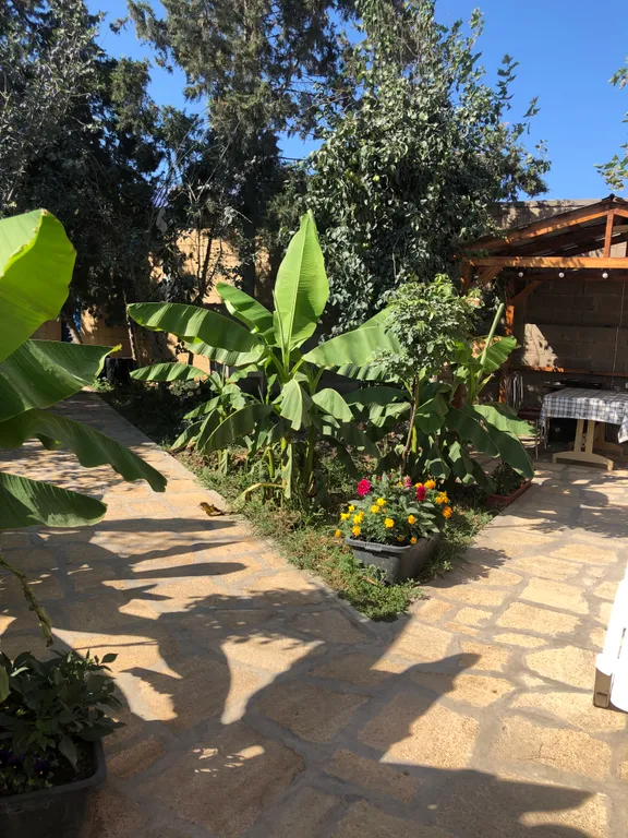 Коттедж-1 на берегу моря