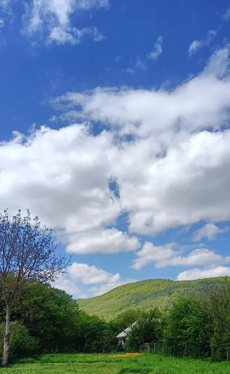 Домик в центре