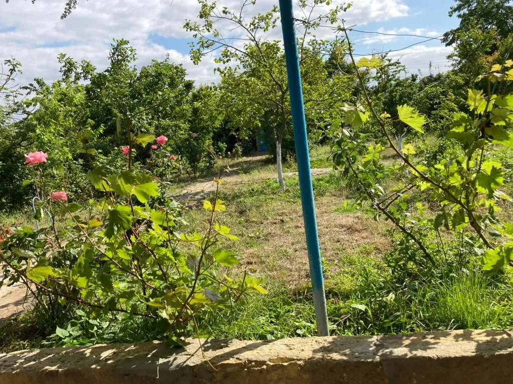 Дача у моря