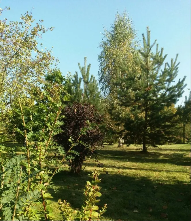 Эколофт с теннисным кортом недалеко от реки Москвы с сауной, камином