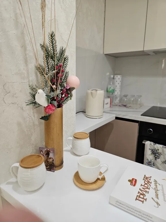 Студия с видом на рождественский собор