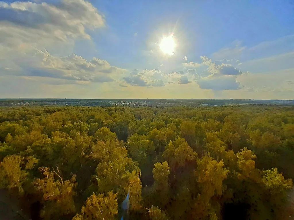 Квартира с джакузи и потрясающим видом на лес