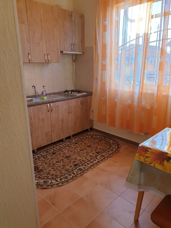 Квартира 1-комнатная с отдельным входом