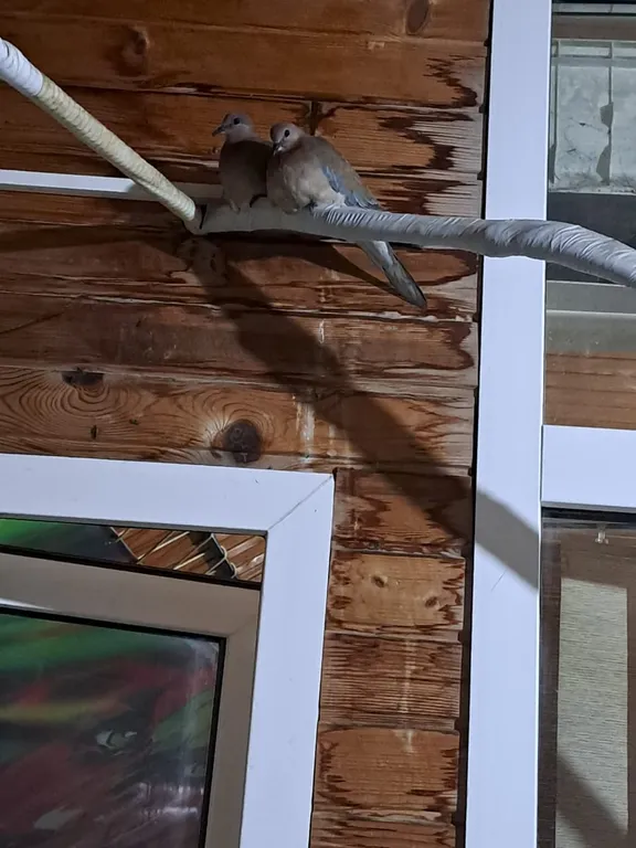 Квартира с верандой в центре города