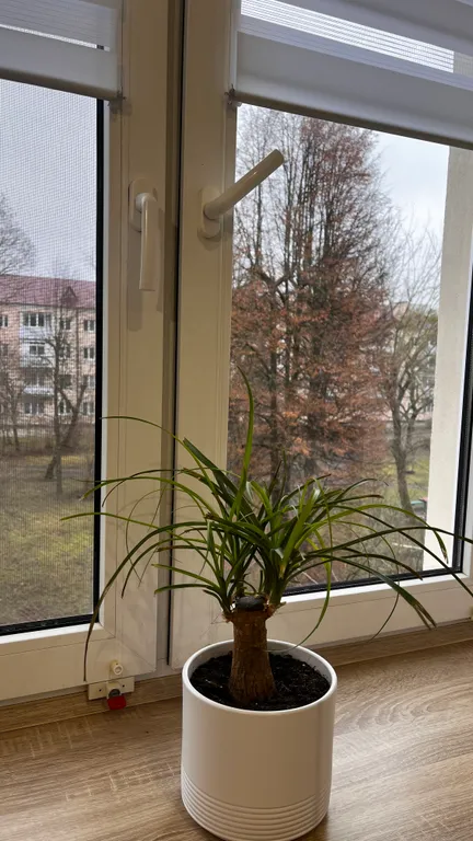 Уютный уголок в центре