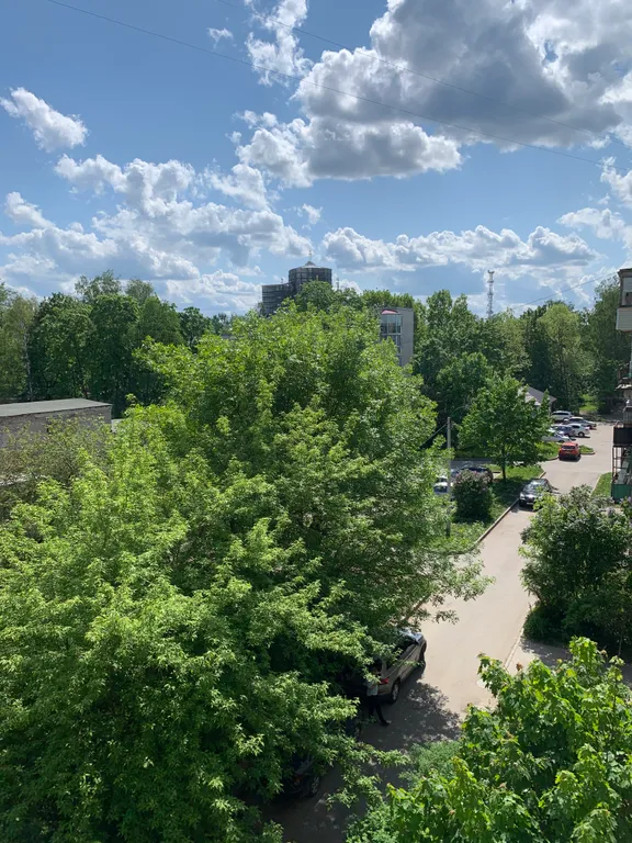 Квартира с видом на Павловский собор