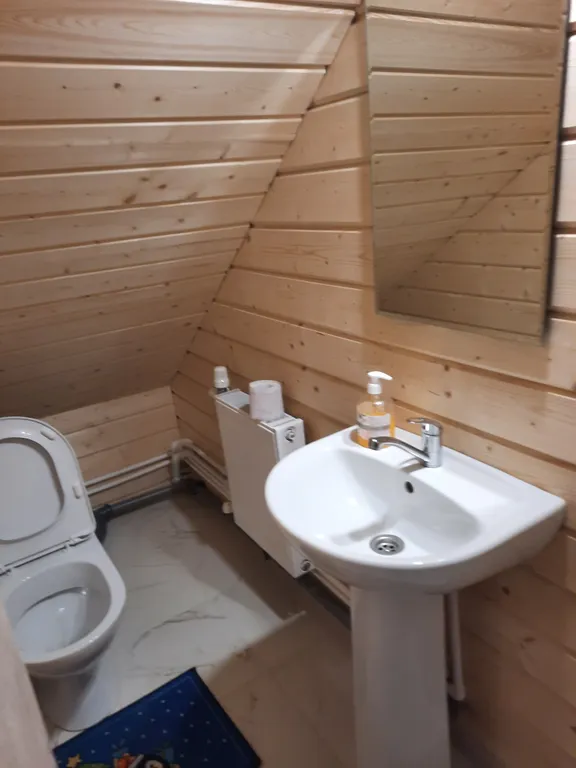 Гостевой дом в сосновом бору на Ладоге