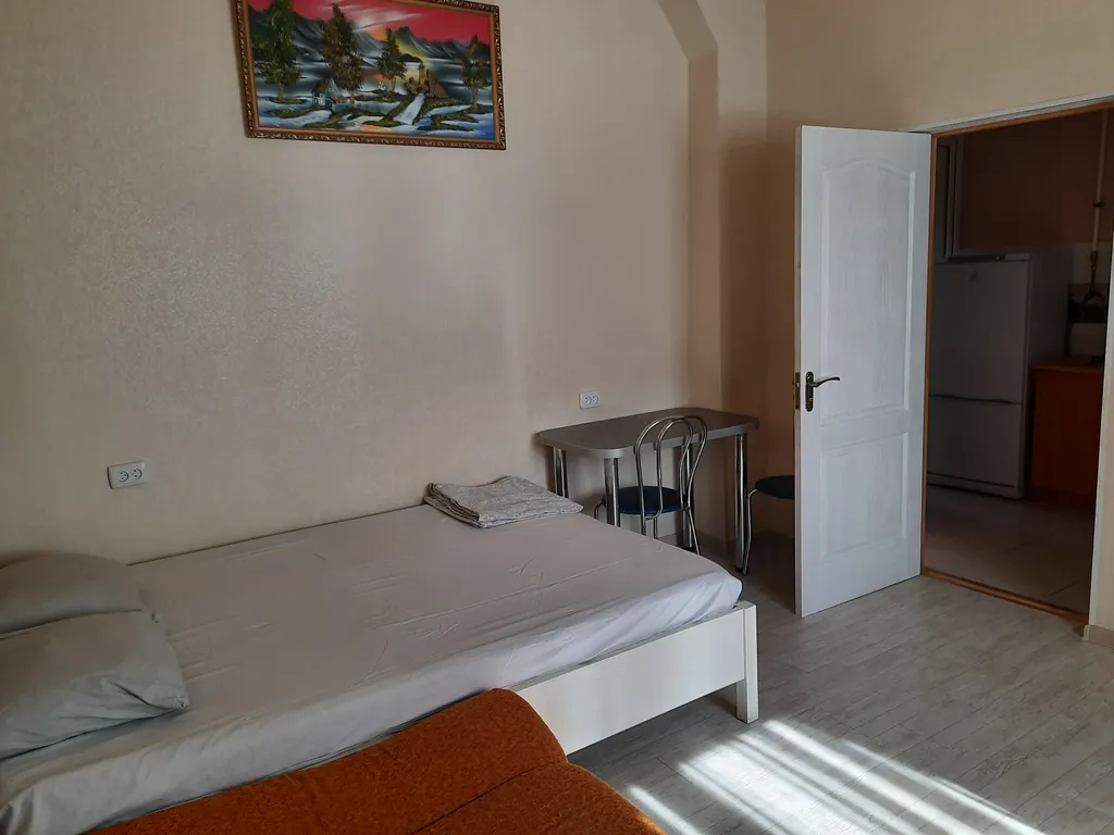 1-комнатная квартира в парке Фрунзе