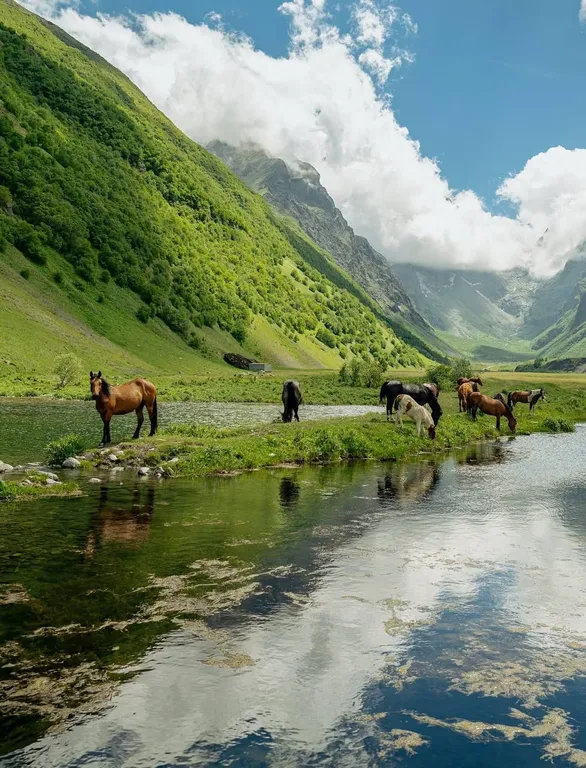 Уютный уголок в центре Владикавказа   Juls Apart