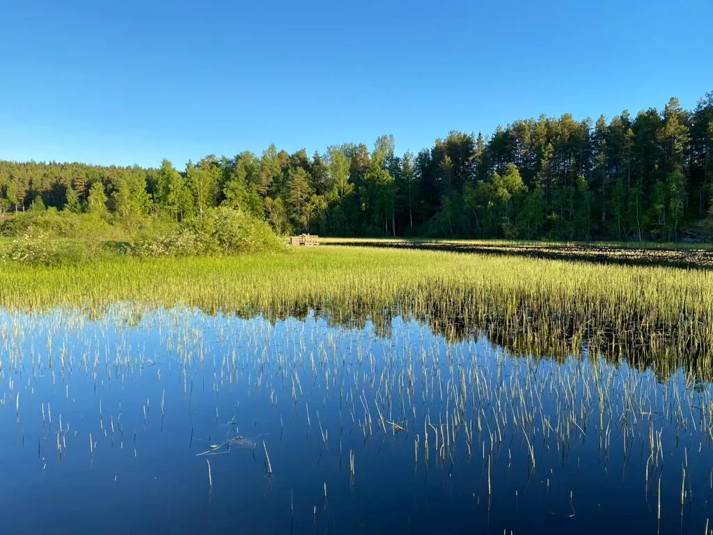 Гостевой дом на берегу Ладожского озера