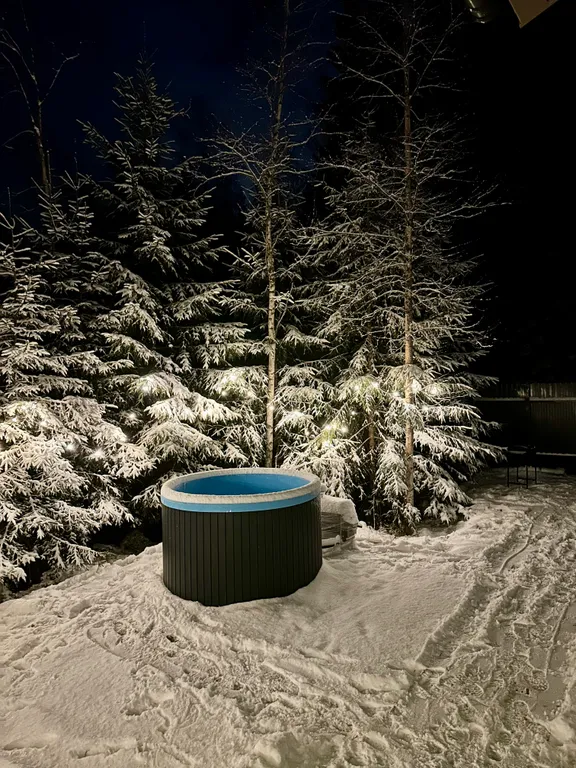 Коттедж Уютный дом в окружении леса — Лебяжье