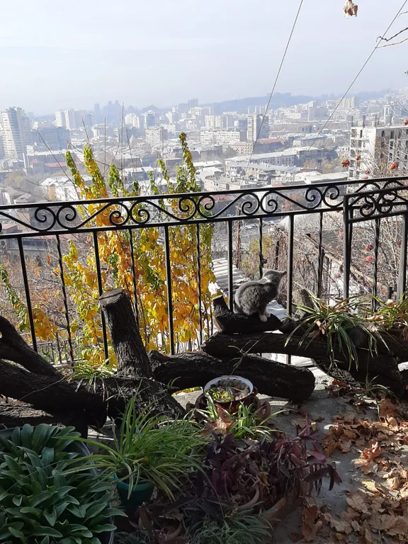 Апартаменты с панорамным видом центра Еревана и горы Арарат