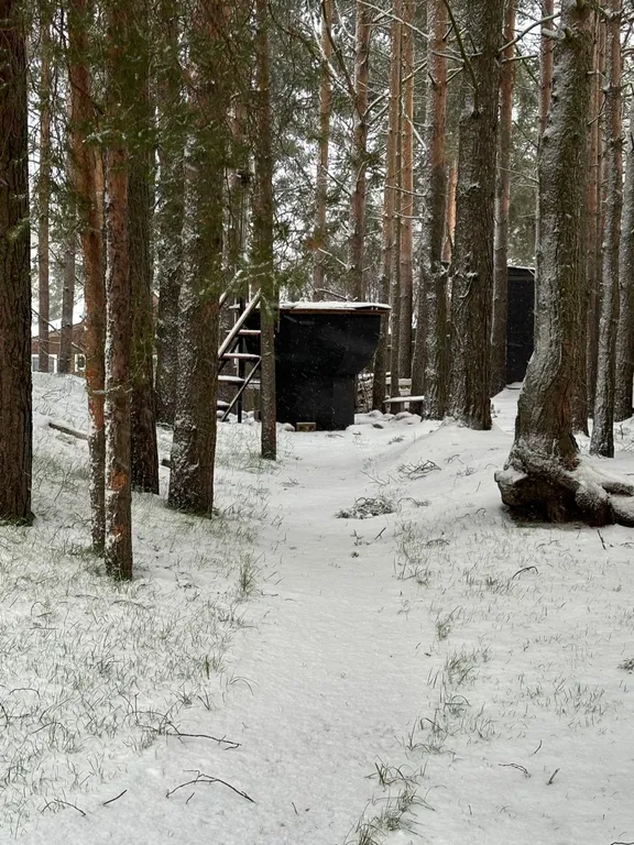 Уютный дом, баня на дровах, банный чан в сосновом бору Петрозаводска