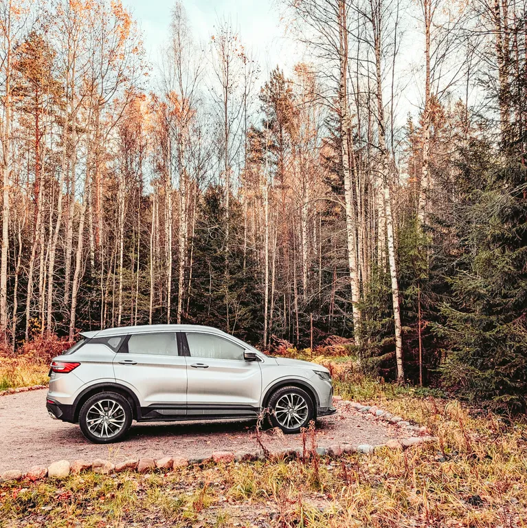 Уютный дом в лесу