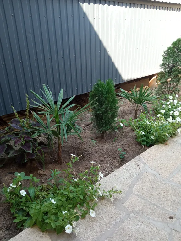 Уютное Бунгало у моря