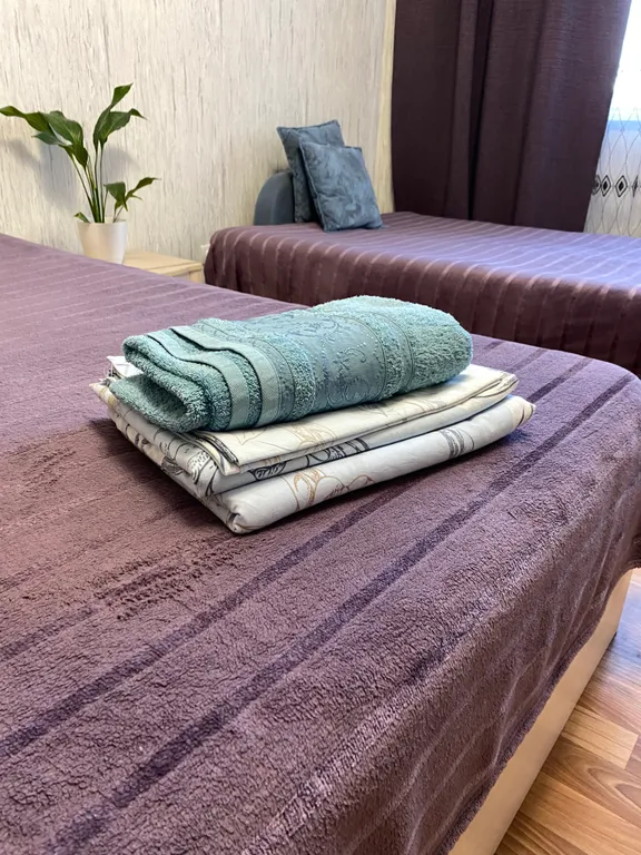 Квартира у Ледового дворца